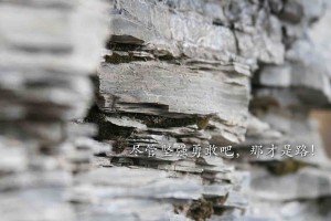 【上海新增阳性病例迎来6连降,上海 新增 新冠】