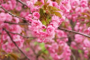 青岛累计报告251例阳性/青岛累计报告251例阳性病例