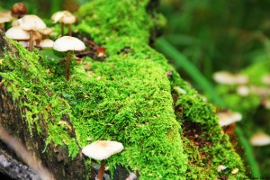 1日广东疫情速报(广东疫情最新播报)