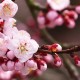 浙江新增本土确诊74例:绍兴55例(绍兴新增确诊病例)