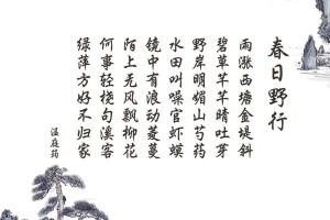 全国各城市感染高峰进度小程序(各地感染人数查询)