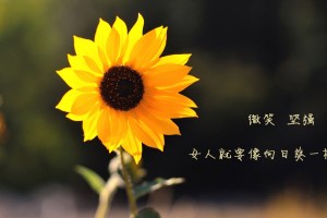31省份连续2天本土确诊0新增/31省区市连续两天本土0新增