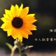31省份连续2天本土确诊0新增/31省区市连续两天本土0新增