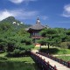 1天88例青岛疫情出现隐匿传播/青岛最新输入病例