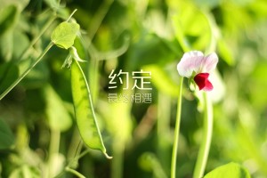 31省区市新增确诊7例/31省区市新增确诊7例 新闻