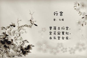 【广州疫情源头,广州疫情源头找到了】