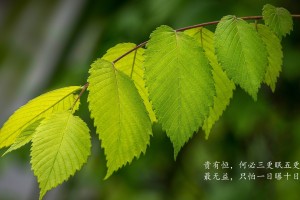 【北京新增21例感染者,北京新增22例确诊病例详情】