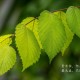 【苏州站疫情,苏州站最新疫情防控】