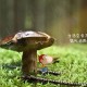 黄山疫情最新情况(黄山疫情通报)