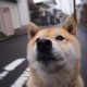 【安徽新增本土无症状41例,安徽新增确诊病例3例 无症状感染者7人】