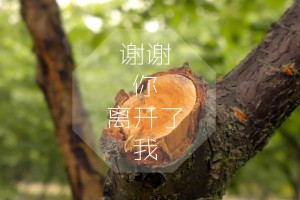 新疆2例无症状属德尔塔病毒/新疆博州德尔塔病毒