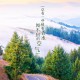 31省新增12例病例/31省新增12例确诊