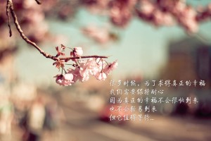 31省份新增确诊14例(31省份新增确诊40例)