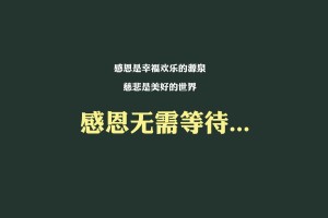 美国新冠肺炎确诊人数超115万/美国新冠肺炎确诊人数破万
