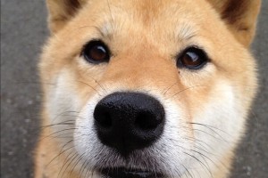 【西安疫情最新消息今天解封,西安疫情?】