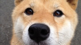 【青岛疫情最新进展,青岛疫情最新情况分布】