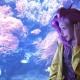 清明节高速路免费吗/清明节高速公路免费的吗