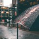 北京疫情最新数据消息(北京疫情最新情况最新消息新)