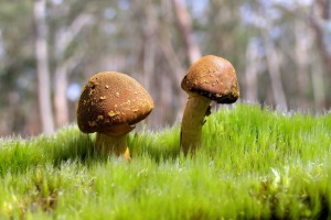 咸阳疫情最新消息/咸阳疫情实时动态