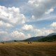 山东乘交通不再查核酸/山东坐公交