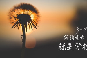 【杭州疫情最新消息今天新增了15例,杭州疫情最新动态】
