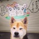 【河南新增本土确诊病例98例,河南新增确诊病例323例】