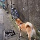 31省区市新增确诊16例含本土7例(31省区市新增本土确诊病例1例)