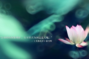 全球确诊超624万(全球确诊逾231万)